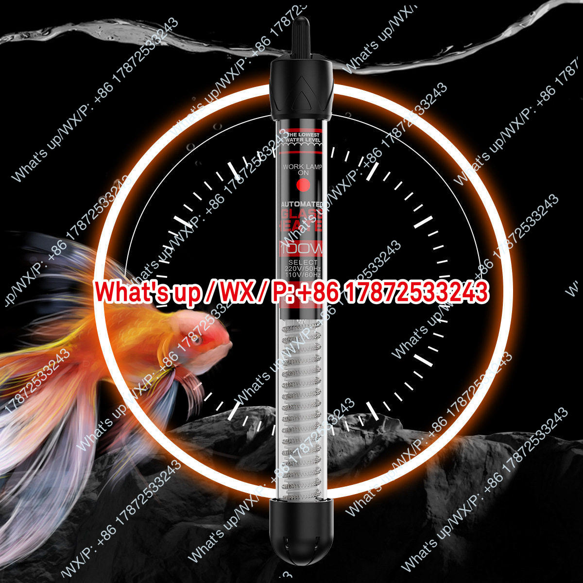 Export foreign trade 110V US s - Aquarium Fish Exporter recension och pris