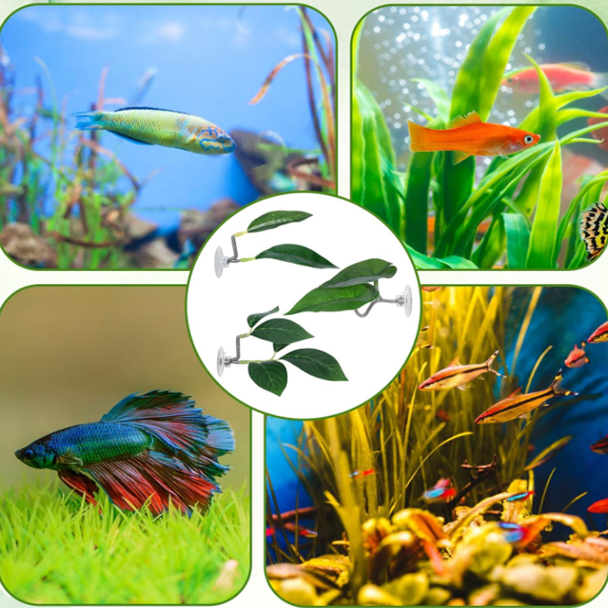 1 PC Betta Fish Hammock Soft A - Aquarium Fish Hideout recension och pris