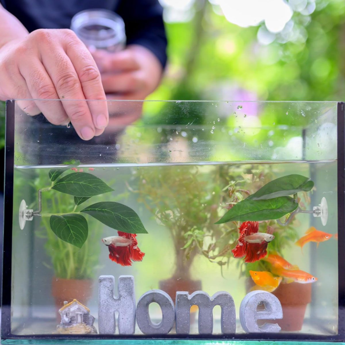 1 PC Betta Fish Hammock Soft A - Aquarium Fish Hideout recension och pris