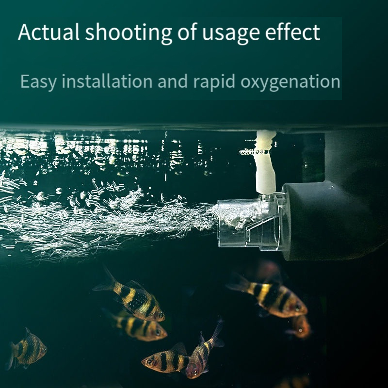 Oxygen Diffuser Pipe Filter At - Aquarium Fish Without Oxygen recension och pris