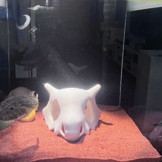 3D Printed FIsh Shrimp Reptile - Aquarium Fish Hideout recension och pris